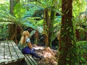 sitting dwon at a picnic table in Tarra Bulga Np