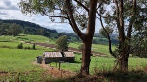 a barn in a paddock along grand ridge road