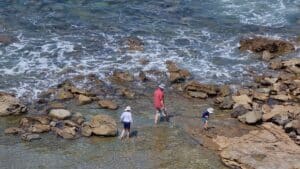 father and sons walking through rock pools