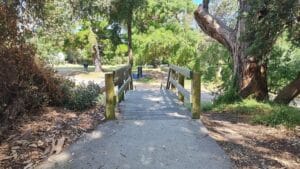 walking track in the Glade, Inverloch