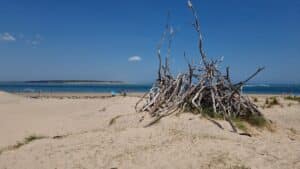 beach scene along inverloch foreshore track