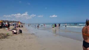 surf beach inverloch in summer