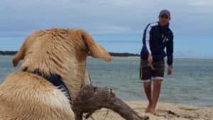 Oliver the dog looking at his ownder who is encouraging him to play 