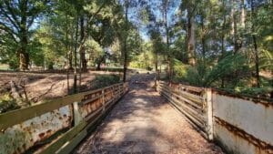 small foor bridge inBotanical gardens in Korumbuura