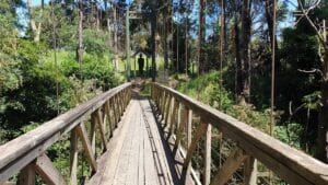 loch suspension bridge - a wooden bridge 