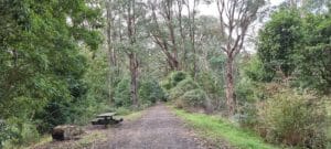 picnic bench on rail trail 