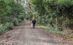 a girl walking her yellow lab on the rail trail