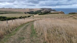 a grass track overlooking the ocean 