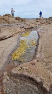 a rock pool at kilcunda beach