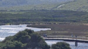 looking dwon onto the Wilsons Prom footbridge