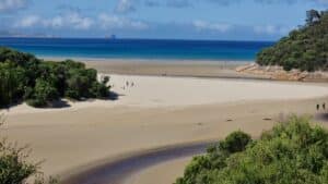 magificent beach at tidal River Wilsons prom