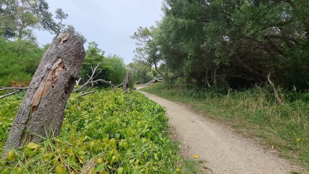 Roy Henderson Path in Sandy Point