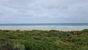 Ned Neales lookout over scrub onto the beach