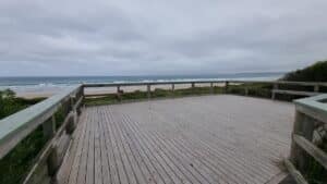 Ned Neales lookout over scrub onto the beach