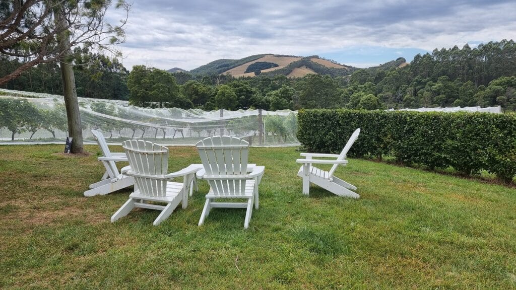 seating at Wratah Hills Vineyard -  things to do in South Gippsland