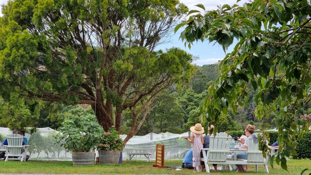 people in the vineyard at Waratah hills winery south gippsland