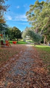 leongatha rail trail 2