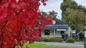 thnic food store behind a crimson red tree