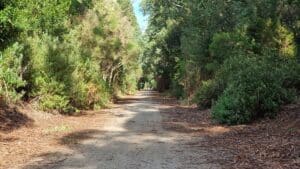 Leongatha rail trail surrounded by bus