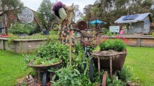 scarecrows at Meeniyan community garden