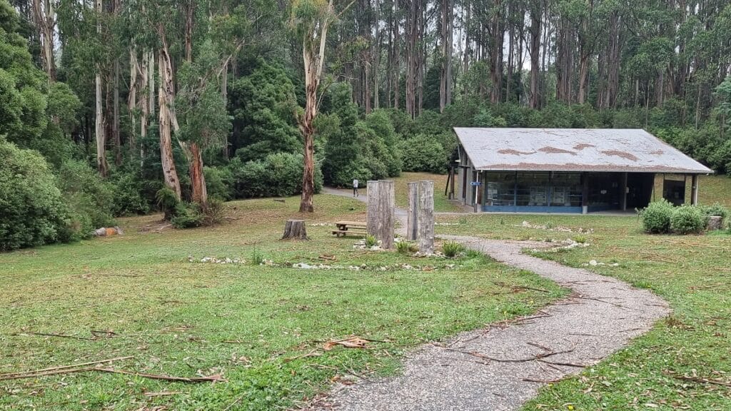 tarra Bulga visitor centre