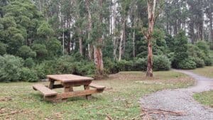 a picnic table at the visitor centre tarra bulga