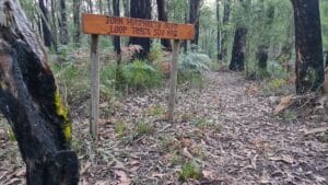 signage on Lyrebird forest walk