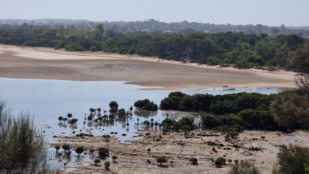 looking toward screw creek with a receding shore line exposing the sand