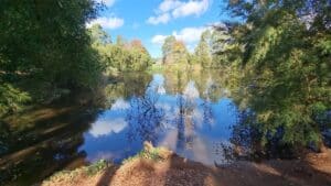 scenic view of Leongatha Wetland