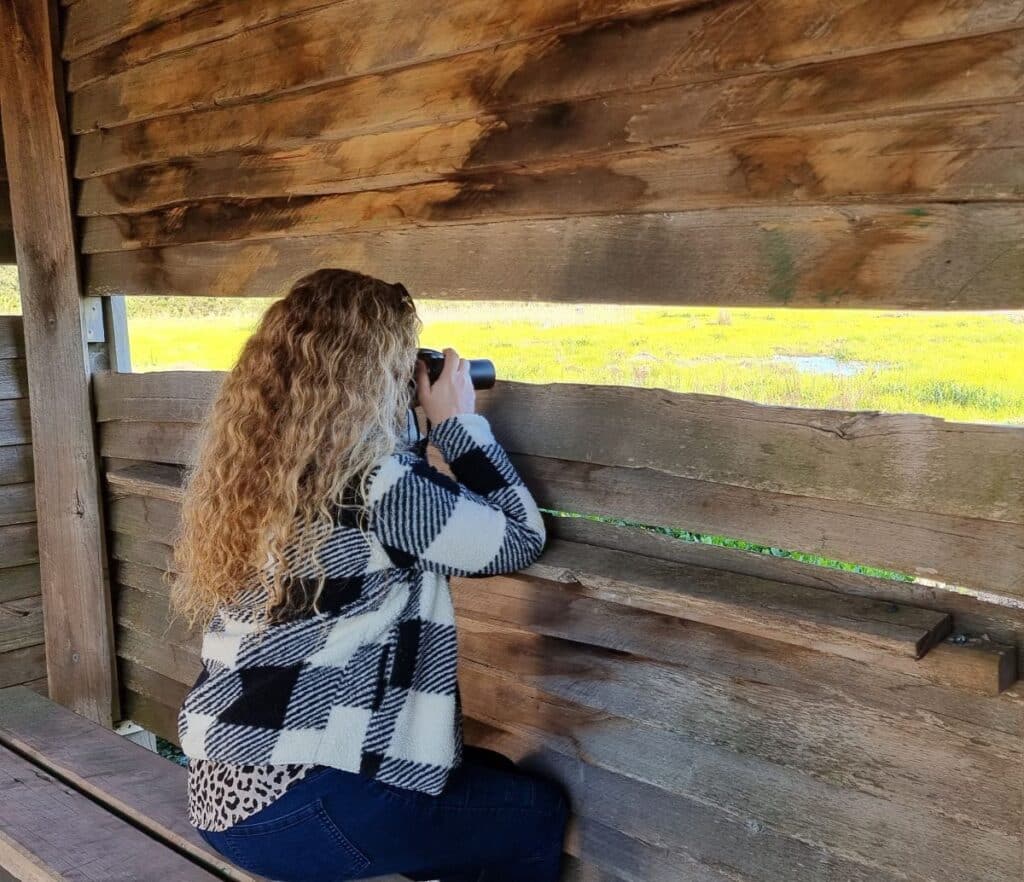 Taking photos through a bird hide in Wonthaggi wetland