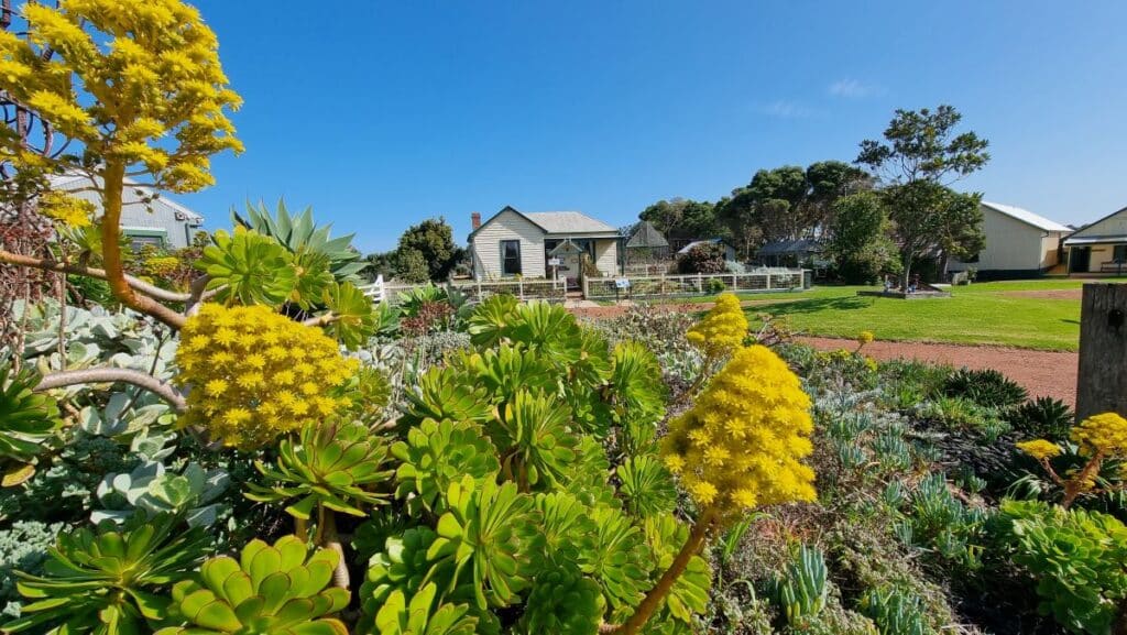 a small cottage behind a garden of yellow and green