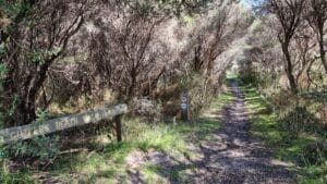 The trail to Cutlers Beach Wonthaggi