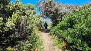 A man walking his 2 dogs through scrub on a trail heading to Cutlers Beach Wonthaggi