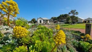 looking over a garden to the old historic home at Wonthaggi State cola Mine